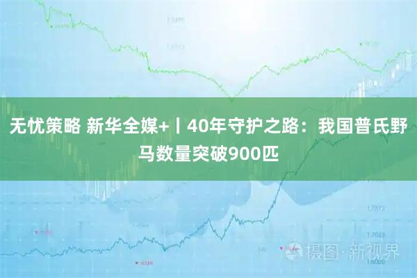 无忧策略 新华全媒+丨40年守护之路：我国普氏野马数量突破900匹