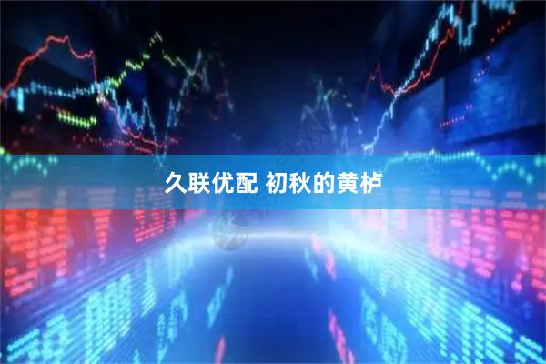 久联优配 初秋的黄栌