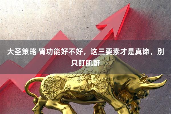 大圣策略 肾功能好不好，这三要素才是真谛，别只盯肌酐